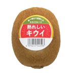 ニュージーランド産などの外国産 　グリーンキウイフルーツ 　1個