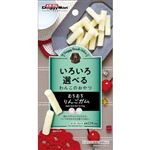 ドギーマンハヤシ ドギースナックバリュー むちむちりんごガム 35g（標準12本）【犬用】