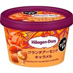 ハーゲンダッツ ミニカップ クランチアーモンドキャラメル 92ml