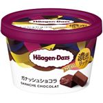 （ボーナスポイント） ハーゲンダッツ ミニカップ ガナッシュショコラ 110ml