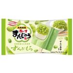 丸永 あいすまんじゅう ずんだもち 95ml
