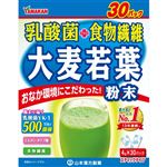 山本漢方 お徳用 乳酸菌 大麦若葉 ステックタイプ 4g×30包