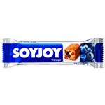 大塚製薬 SOYJOY ブルーベリー 30g