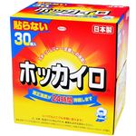 興和 ホッカイロ 貼らないタイプ レギュラー 30個入