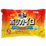 興和 ホッカイロ 貼る レギュラー 10個入