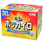 興和 ホッカイロ 貼る レギュラー 30個入