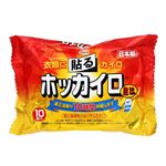 興和 ホッカイロ 貼る ミニ 10個入