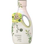 （大阪万博） P&G さらさ 衣料用洗剤 本体 670g