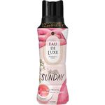 （大阪万博） P&G レノアオードリュクス マインドフルネスシリーズ アロマジュエル サンデー 本体 520ml