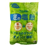 サラヤ 匠の塩飴 さわやかマスカット味 100g