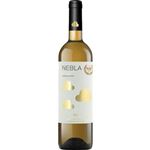 スペイン産 ネブラ ヴェルデホ ヴィセンテ・ガンディア【白／やや辛口】750ml
