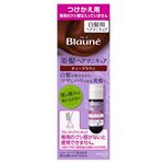 花王 ブローネ 美髪ヘアマニキュア ティーブラウン つけかえ用 72g