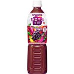 カゴメ 野菜生活100 ベリーサラダ 720ml