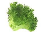 【火・木・土のみ配送限定】　エスジーグリーンハウス 福岡県産 うるおい野菜 フリルアイス 1袋