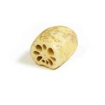 佐賀県などの国産　れんこん　330ｇ(100ｇあたり(本体)78円)