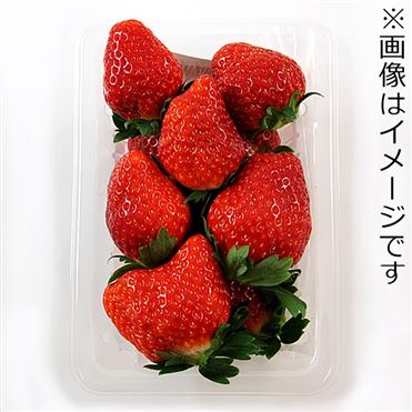 おうちでイオン イオンネットスーパー 福島県などの国内産 いちご とちおとめ 1パック おうちでイオン イオンネットスーパー 福島県などの国内産 いちご とちおとめ 1パック