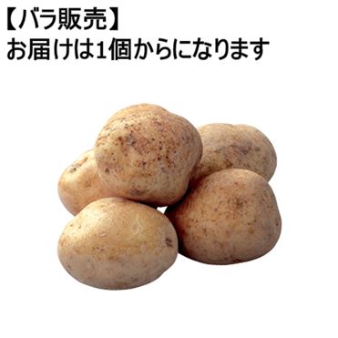 おうちでイオン イオンネットスーパー 北海道などの国内産 じゃがいも 1個 おうちでイオン イオンネットスーパー 北海道などの国内産 じゃがいも 1個