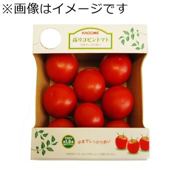 おうちでイオン イオンネットスーパー 福島県などの国内産 カゴメアグリフレッシュ 高リコピントマト小箱 1箱 おうちでイオン イオンネットスーパー 福島県などの国内産 カゴメアグリフレッシュ 高リコピントマト小箱 1箱